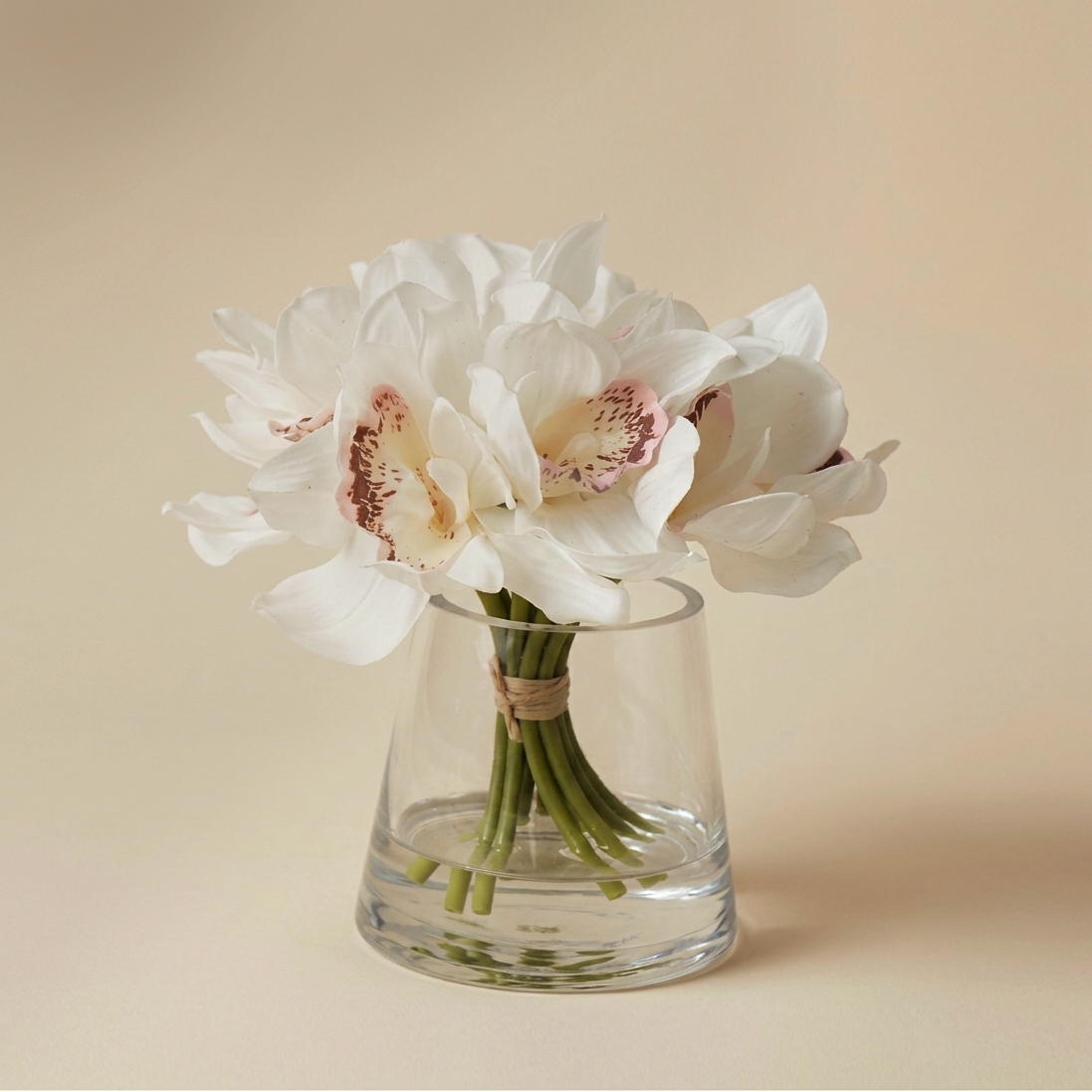 Cymbidium Bloom in Glass Vase